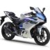 ヤマハ　YZF-R25